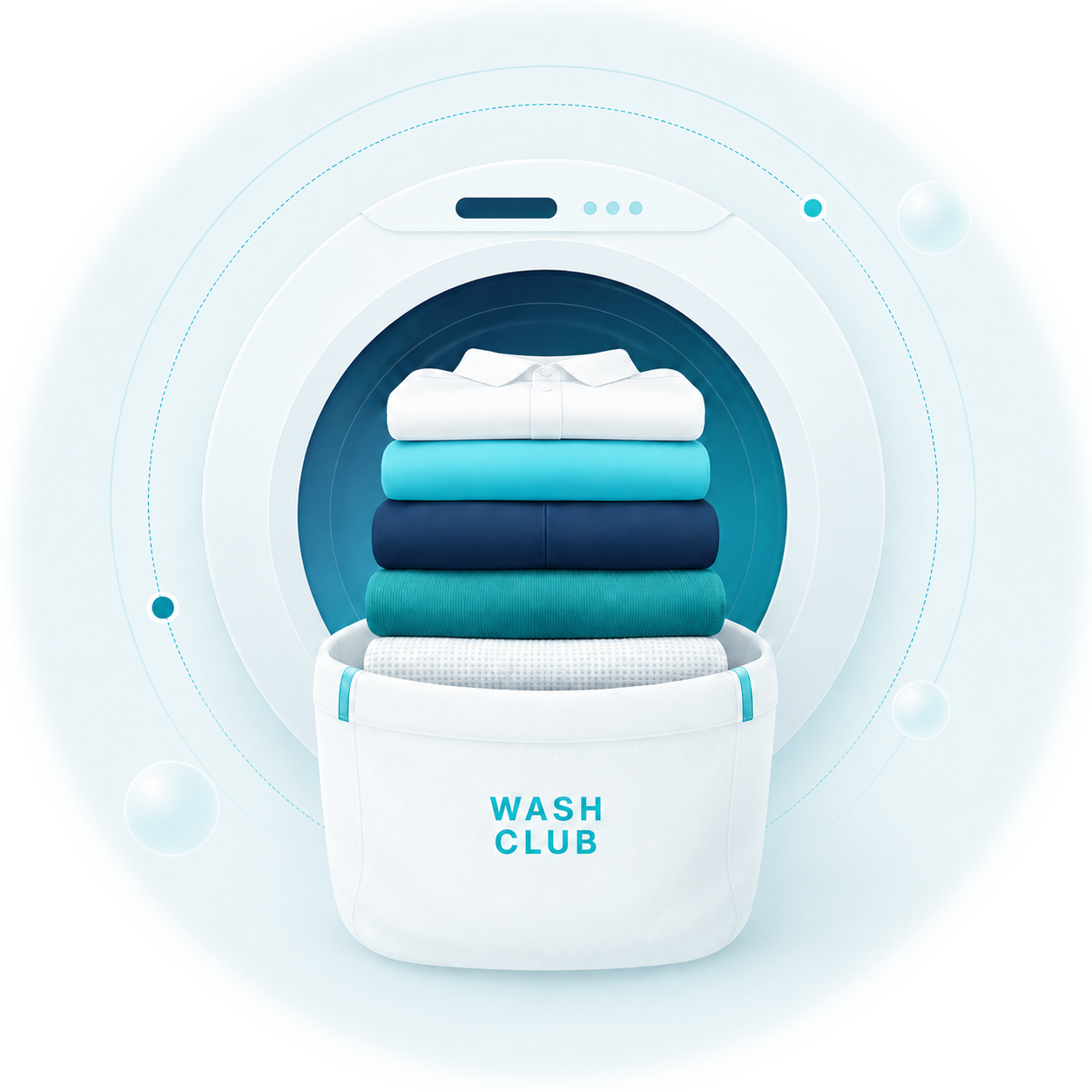Professional laundry service illustration